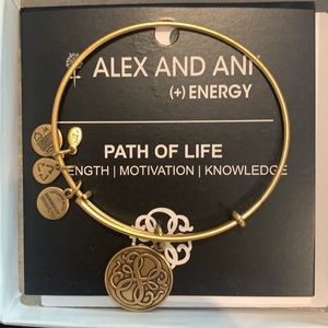 PATH OF LIFE ALEX AND ANI